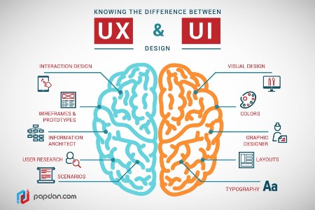 UX vs UI design brain